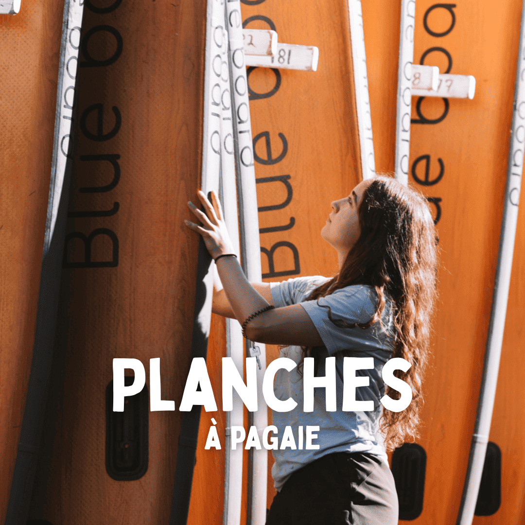 Mur de planches à pagaie colorées chez Canots Légaré